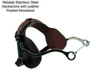 Metalab Stainless Steel Hackamore with Leather Padded Noseband