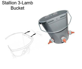 Stallion 3-Lamb Bucket