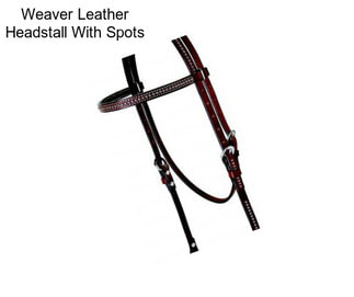 Weaver Leather Headstall With Spots