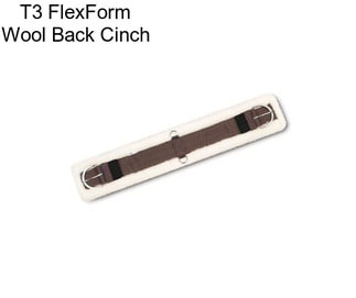 T3 FlexForm Wool Back Cinch