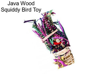 Java Wood Squiddy Bird Toy