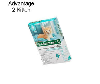 Advantage 2 Kitten