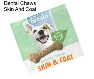 Dental Chews Skin And Coat