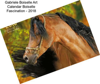 Gabriele Boiselle Art Calendar Boiselle Fascination - 2018