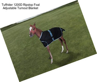 Tuffrider 1200D Ripstop Foal Adjustable Turnout Blanket