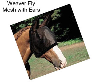 Weaver Fly Mesh with Ears
