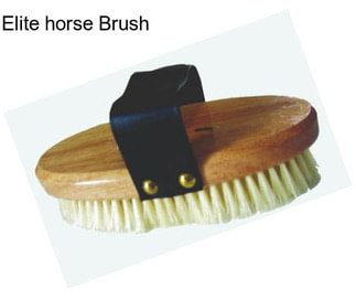 Elite horse Brush