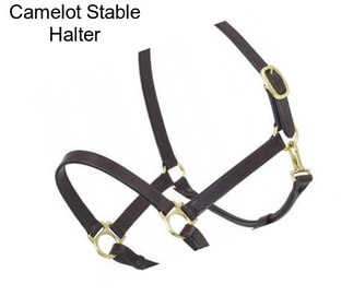 Camelot Stable Halter