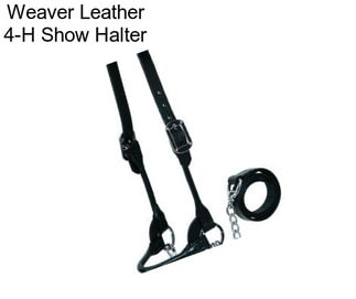 Weaver Leather 4-H Show Halter