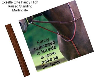 Exselle Elite Fancy High Raised Standing Martingale