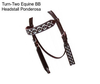 Turn-Two Equine BB Headstall Ponderosa