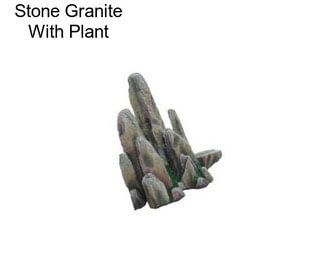Stone Granite With Plant
