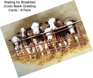 Waiting for Breakfast (Cow) Blank Greeting Cards - 6 Pack