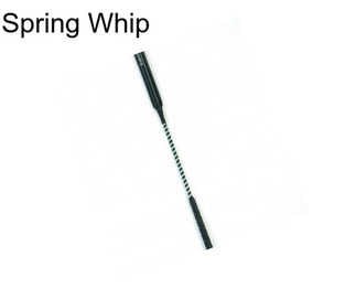 Spring Whip