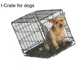 I-Crate for dogs