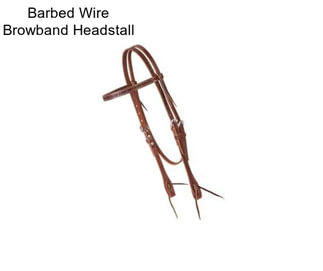 Barbed Wire Browband Headstall