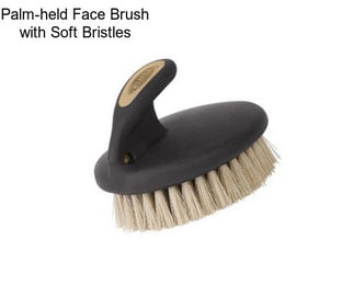 Palm-held Face Brush with Soft Bristles