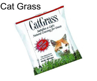 Cat Grass