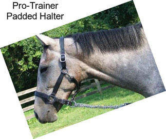 Pro-Trainer Padded Halter