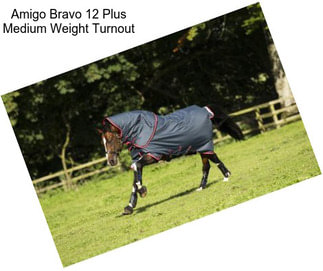 Amigo Bravo 12 Plus Medium Weight Turnout