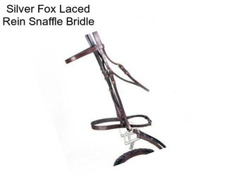 Silver Fox Laced Rein Snaffle Bridle