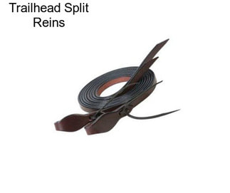 Trailhead Split Reins