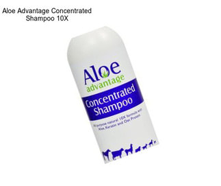 Aloe Advantage Concentrated Shampoo 10X