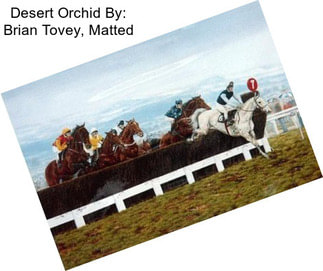 Desert Orchid By: Brian Tovey, Matted