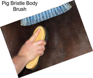 Pig Bristle Body Brush