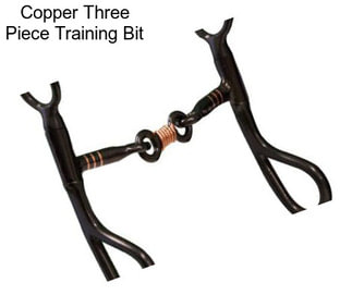 Copper Three Piece Training Bit