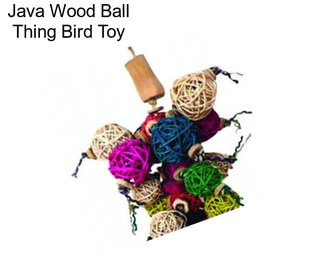 Java Wood Ball Thing Bird Toy