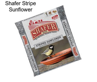 Shafer Stripe Sunflower