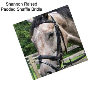 Shannon Raised Padded Snaffle Bridle