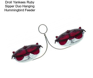 Droll Yankees Ruby Sipper Duo Hanging Hummingbird Feeder