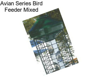 Avian Series Bird Feeder Mixed