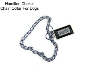 Hamilton Choker Chain Collar For Dogs