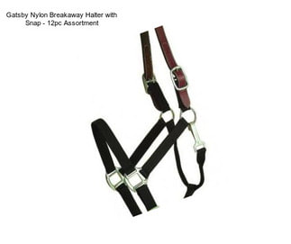 Gatsby Nylon Breakaway Halter with Snap - 12pc Assortment