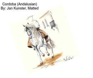 Cordoba (Andalusian) By: Jan Kunster, Matted