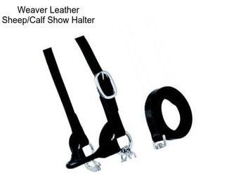 Weaver Leather Sheep/Calf Show Halter