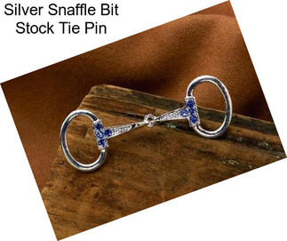 Silver Snaffle Bit Stock Tie Pin