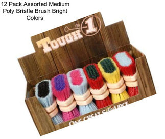 12 Pack Assorted Medium Poly Bristle Brush Bright Colors