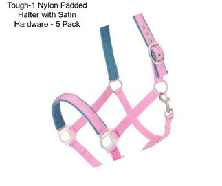 Tough-1 Nylon Padded Halter with Satin Hardware - 5 Pack