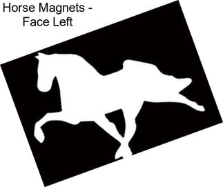 Horse Magnets - Face Left