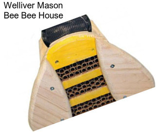 Welliver Mason Bee Bee House