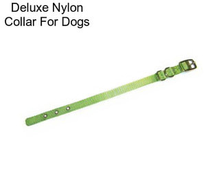 Deluxe Nylon Collar For Dogs