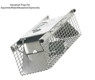 Havahart Trap For Squirrels/Rats/Weasels/Chipmunks