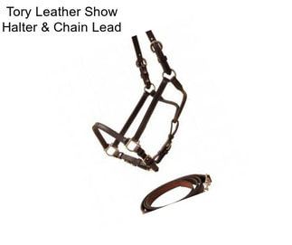 Tory Leather Show Halter & Chain Lead