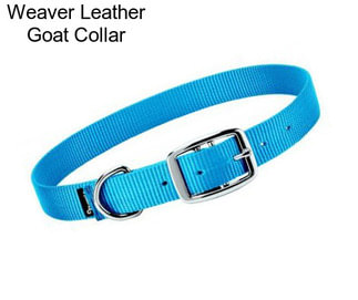 Weaver Leather Goat Collar