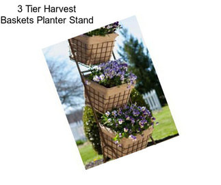 3 Tier Harvest Baskets Planter Stand