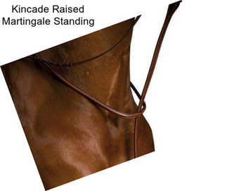 Kincade Raised Martingale Standing